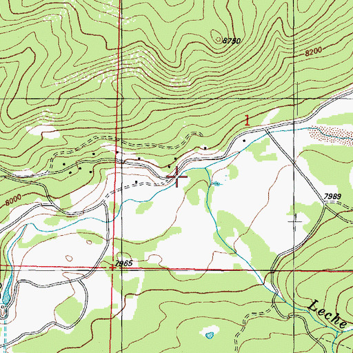 Topographic Map of Leche Creek, CO