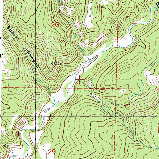 Topographic Map of Big Branch, CO