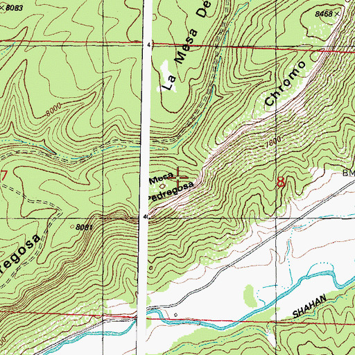 Topographic Map of Mesa Pedregosa, CO