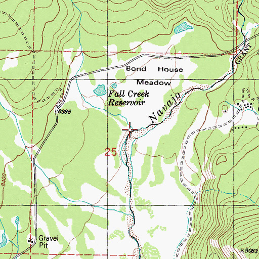 Topographic Map of Iron Creek, CO