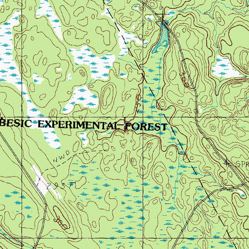 Topographic Map of Massabesic Experimental Forest, ME