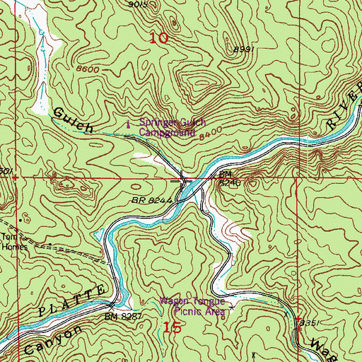 Topographic Map of Springer Gulch, CO