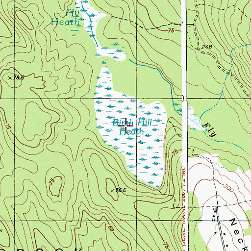 Topographic Map of Birch Hill Heath, ME