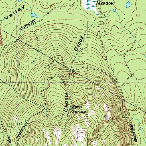 Topographic Map of Chasm Brook Bridge, ME