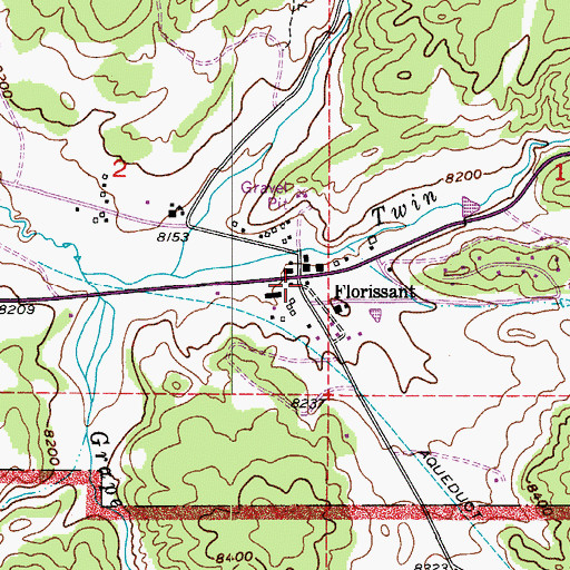 Topographic Map of Florissant, CO
