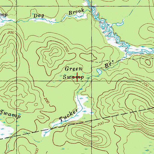 Topographic Map of Green Swamp, ME
