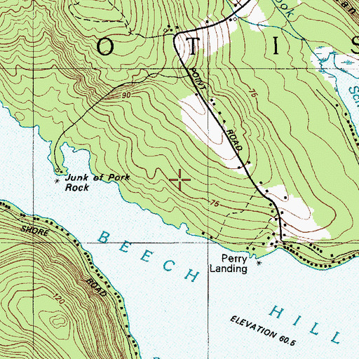 Topographic Map of Junk of Pork Rock, ME