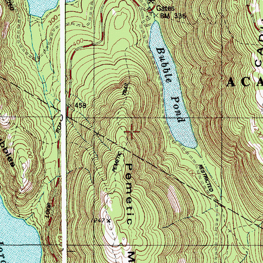 Topographic Map of Pemetic Mountain North Ridge Trail, ME