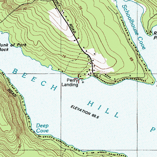 Topographic Map of Perry Landing, ME