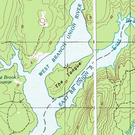Topographic Map of The Tongue, ME