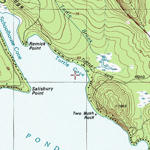 Topographic Map of Turtle Cove, ME