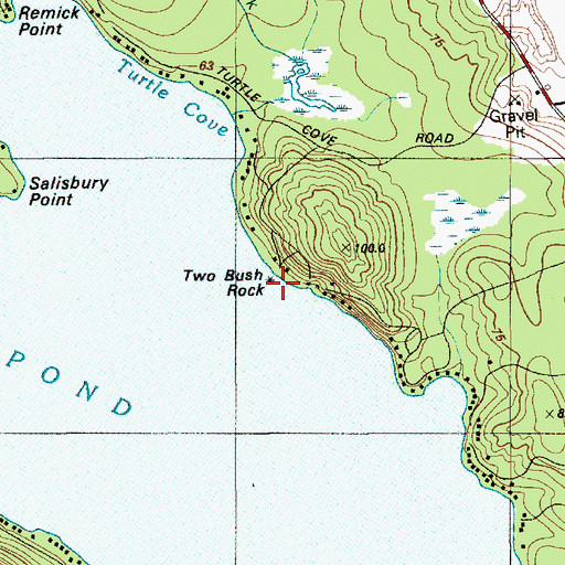 Topographic Map of Two Bush Rock, ME