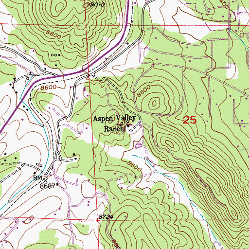 Topographic Map of Aspen Valley Ranch, CO