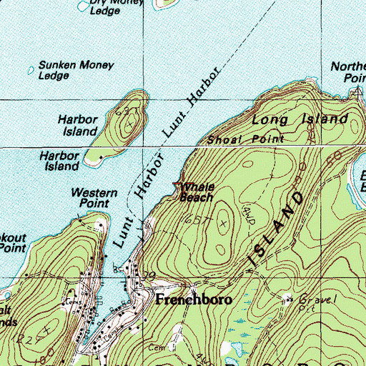 Topographic Map of Whale Beach, ME