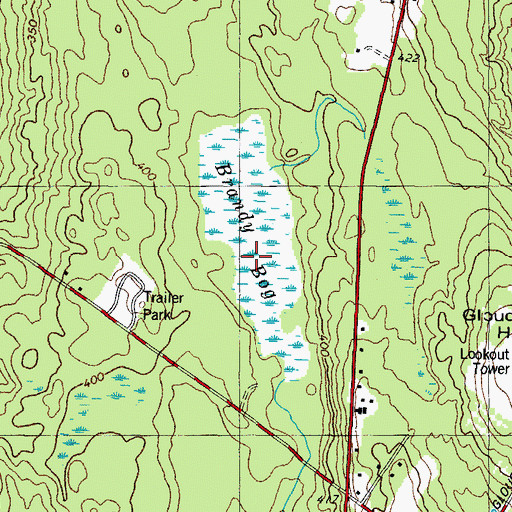 Topographic Map of Brandy Bog, ME