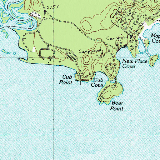 Topographic Map of Cub Point, ME