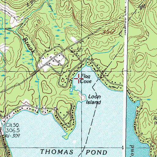 Topographic Map of Flag Cove, ME