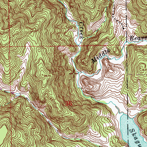 Topographic Map of Middle Beaver Creek, CO