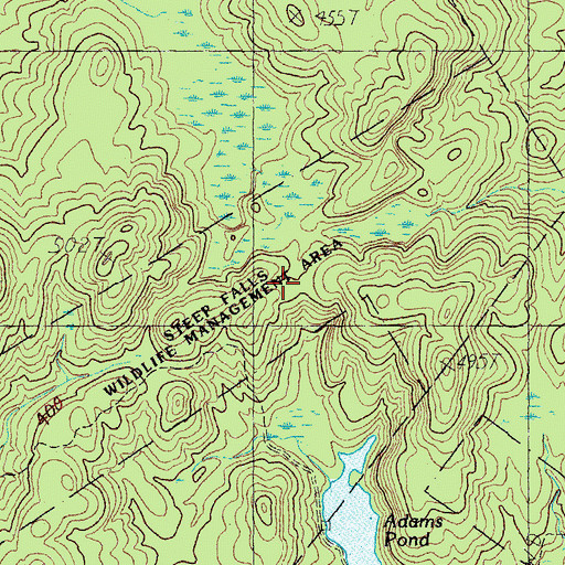 Topographic Map of Rainbow Pond, ME