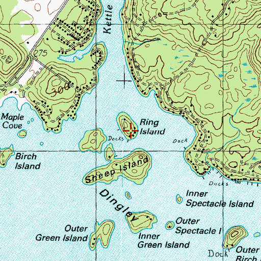 Topographic Map of Ring Island, ME