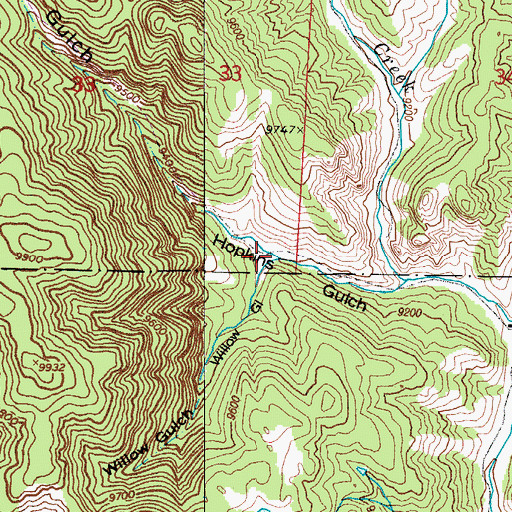 Topographic Map of Willow Gulch, CO