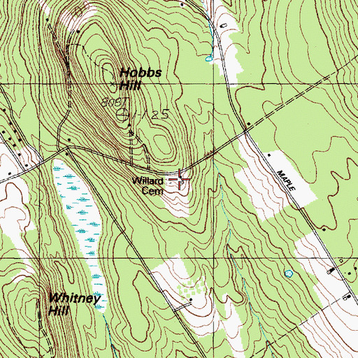 Topographic Map of Willard Cemetery, ME