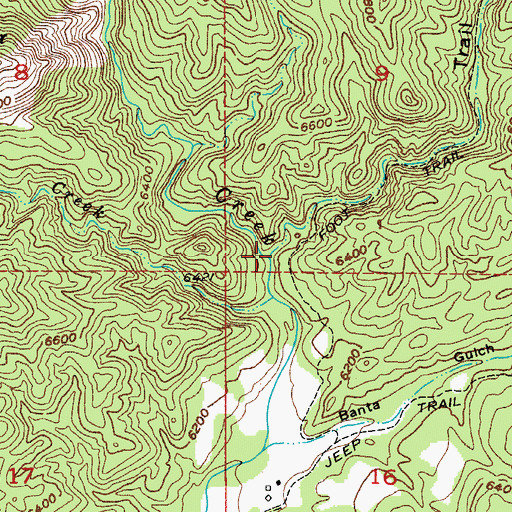 Topographic Map of Trail Gulch, CO