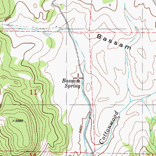 Topographic Map of Bassam Spring, CO