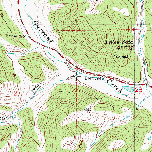 Topographic Map of Thirtyone Mile Creek, CO