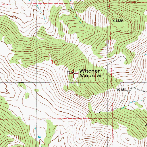 Topographic Map of Witcher Mountain, CO