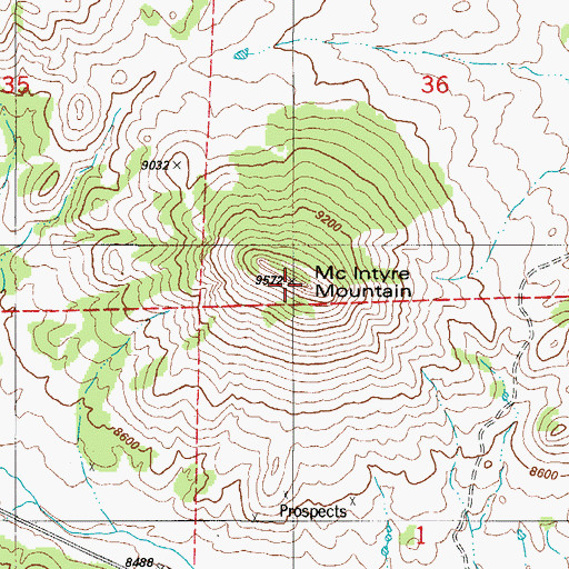 Topographic Map of McIntyre Mountain, CO