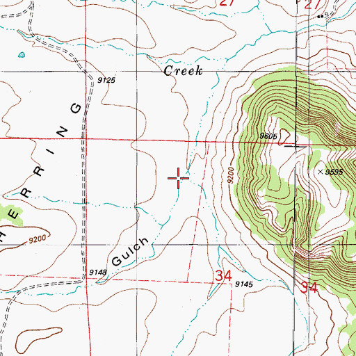 Topographic Map of Calf Gulch, CO