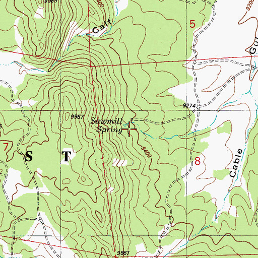 Topographic Map of Sawmill Spring, CO