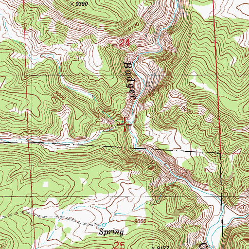 Topographic Map of Steer Creek, CO