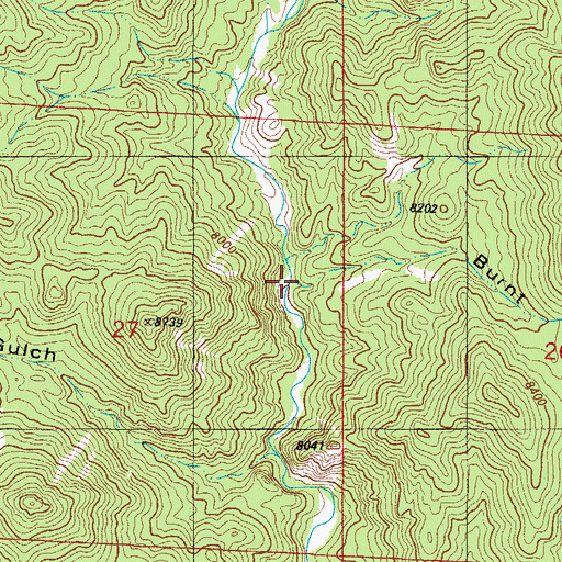 Topographic Map of Burnt Timber Gulch, CO