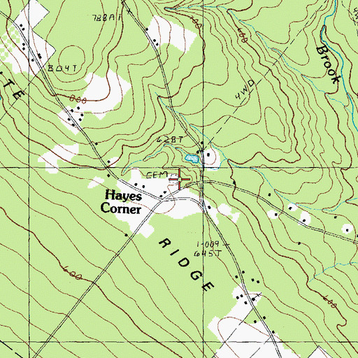 Topographic Map of Hayes Cemetery, NH