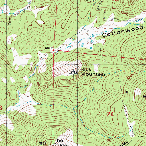 Topographic Map of Rick Mountain, CO