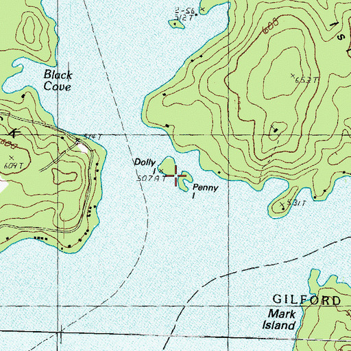 Topographic Map of Aunt Dollys Point, NH