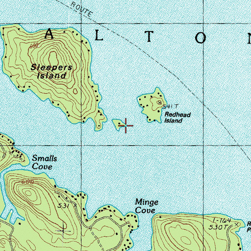 Topographic Map of Cut Island, NH
