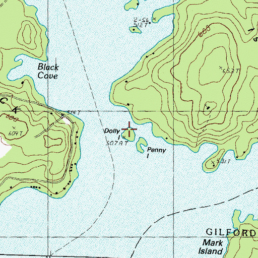 Topographic Map of Dolly Island, NH