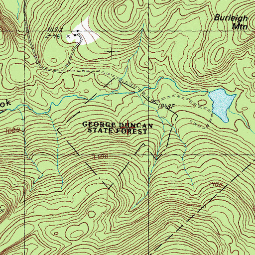Topographic Map of George Duncan State Forest, NH