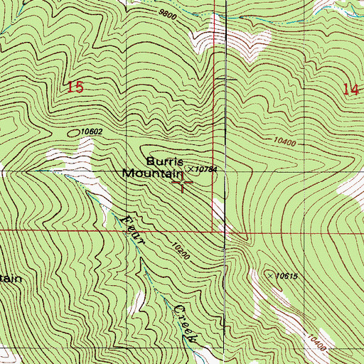 Topographic Map of Burris Mountain, CO
