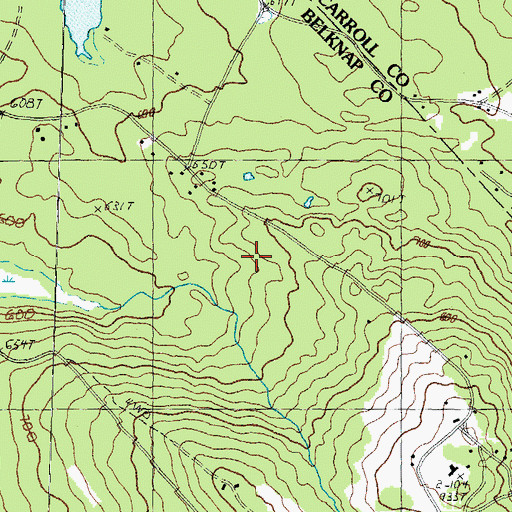 Topographic Map of Proctor Preserve, NH