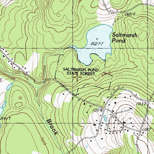 Topographic Map of Saltmarsh Pond State Forest, NH