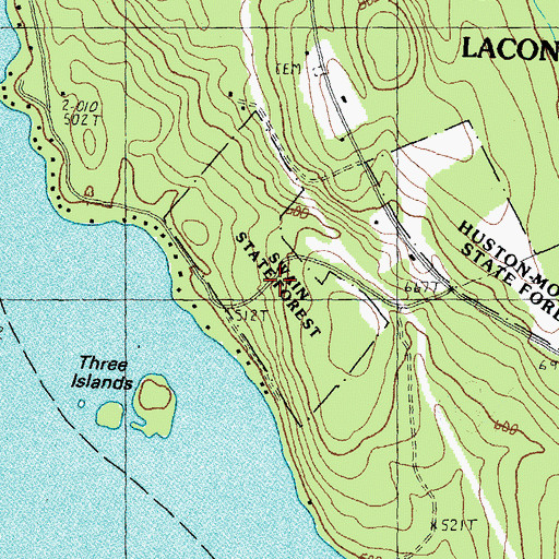 Topographic Map of Swain State Forest, NH