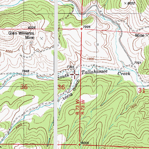 Topographic Map of Long Gulch, CO