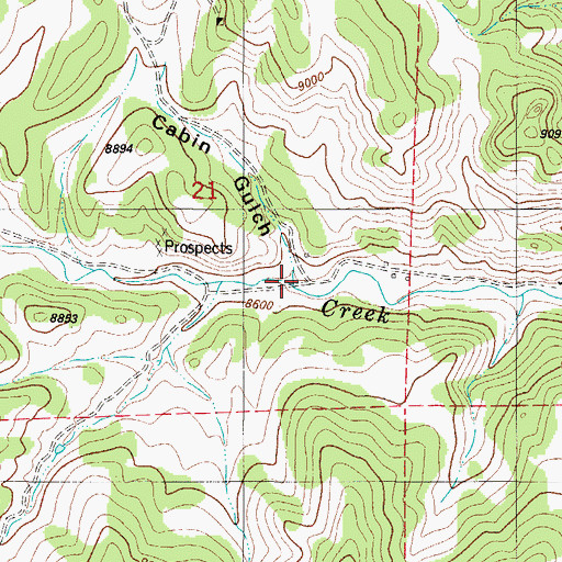 Topographic Map of Cabin Gulch, CO