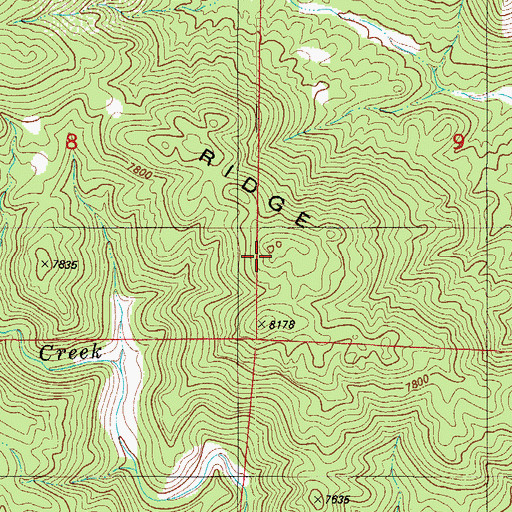 Topographic Map of Cottonwood Ridge, CO