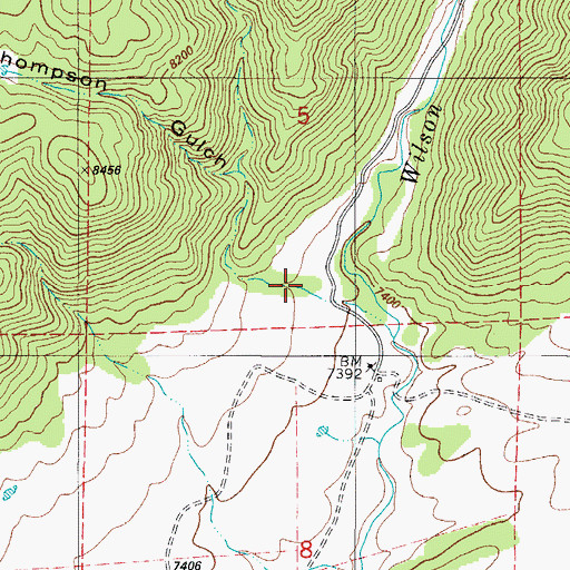 Topographic Map of Thompson Gulch, CO