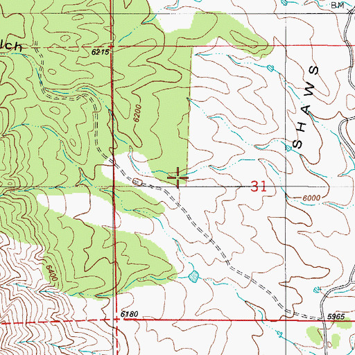 Topographic Map of Washington Gulch, CO